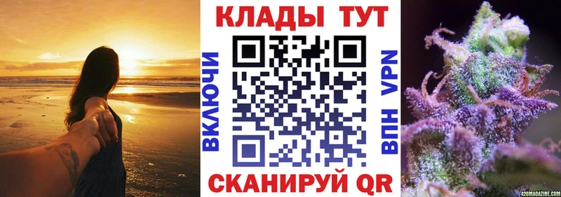 Где найти наркотики Пошехонье Гашиш  Кокаин  Мефедрон  A-PVP  Канабис 