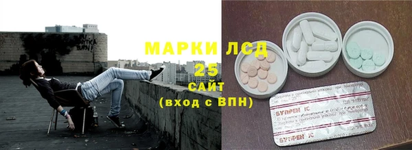 spice Аркадак