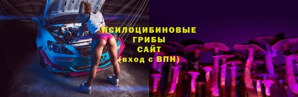 spice Аркадак