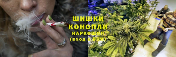 spice Аркадак