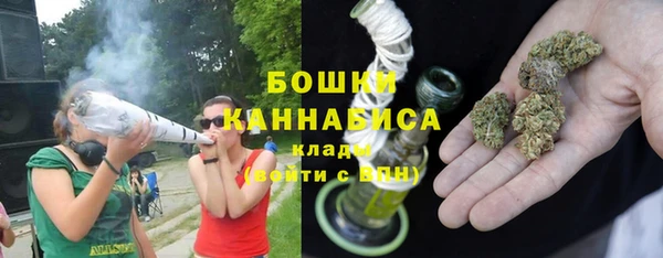 spice Аркадак