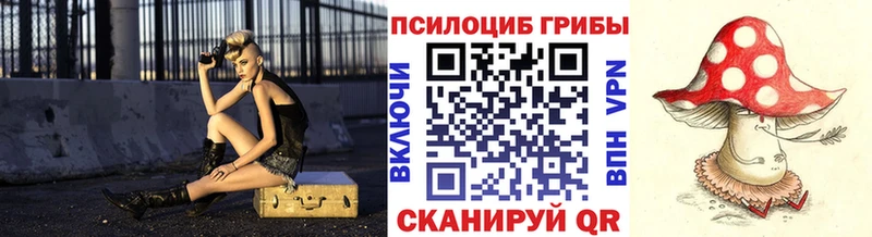 Псилоцибиновые грибы мицелий mega ССЫЛКА Пошехонье