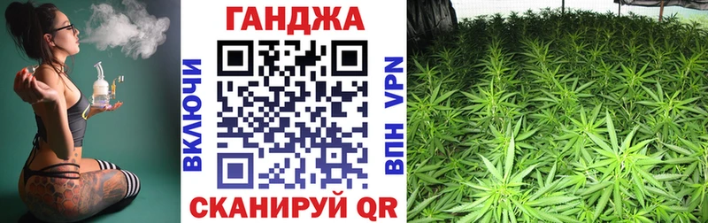 Конопля индика  Пошехонье 